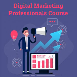 Digital Marketing Professionals “Premium Package”
