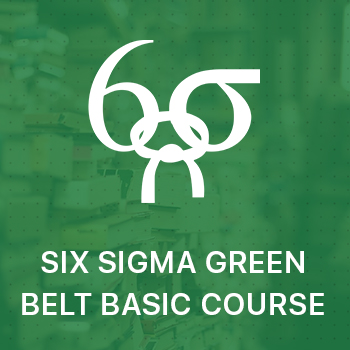 Six Sigma Green Belt “Basic Package”